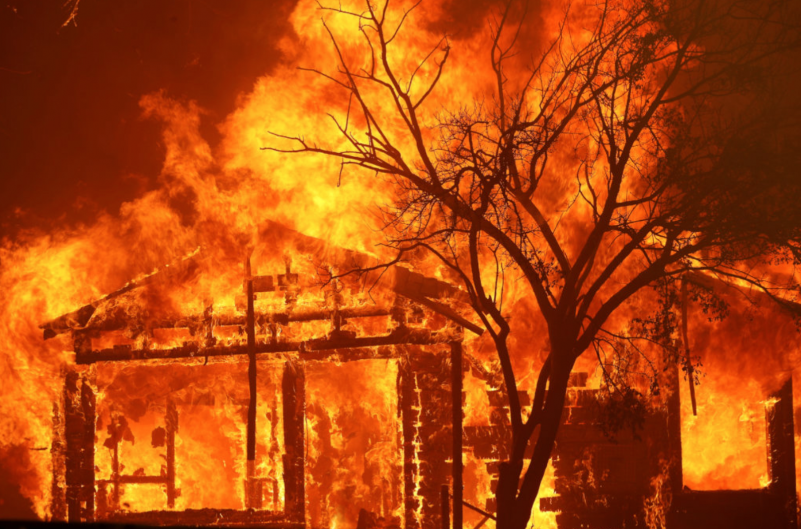 California Fire Relief Funds